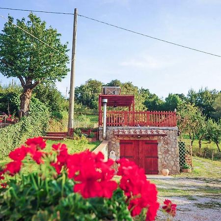 La Finestra Sul Castello Apartment อาร์ชิดอสโซ ภายนอก รูปภาพ